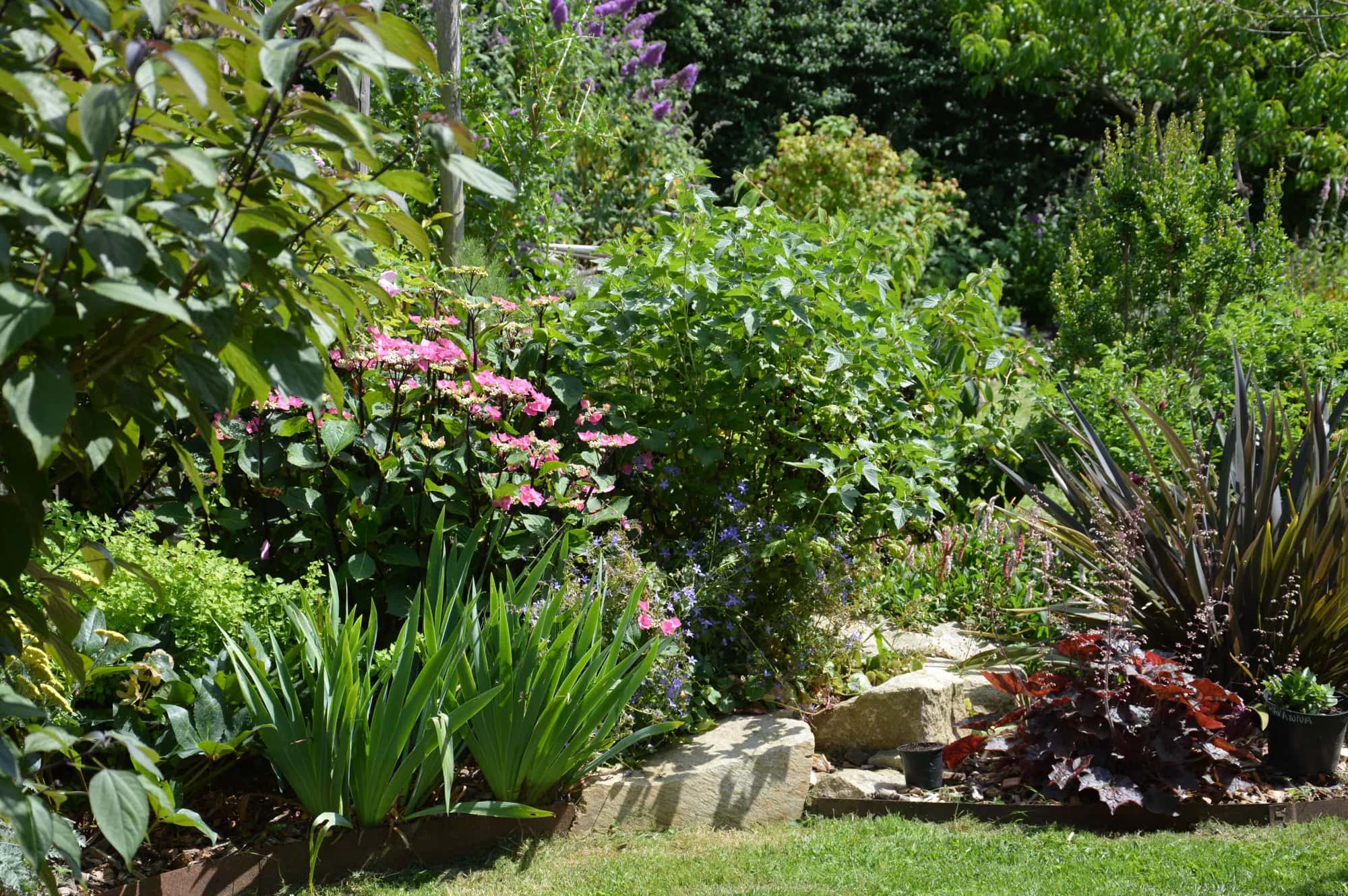 Jardin paysager en Bretagne